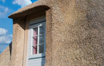 Freston thatch roof disadvantages