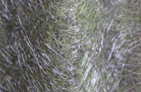 Freston fibreglass roof work