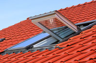 Freston roof window