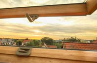 rated Freston roof window companies